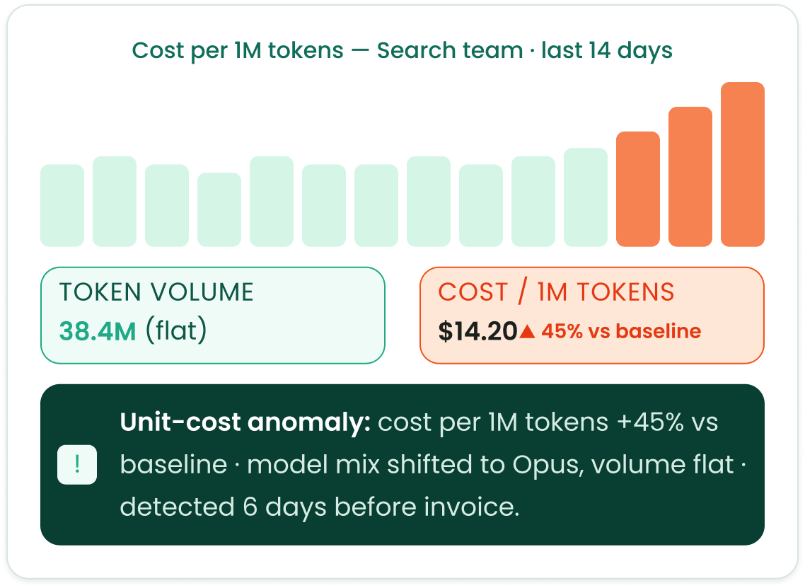 search-team