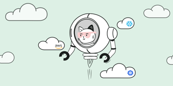 Why IT Showback is So Complicated | Difference Between Showback And Chargeback